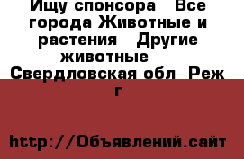 Ищу спонсора - Все города Животные и растения » Другие животные   . Свердловская обл.,Реж г.